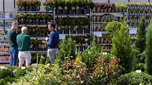 Plants at Four Oaks